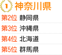 国内 人気の行き先トップ5（全国編）のランキング