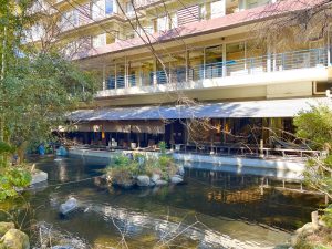 マグマリゾート　社員研修モニター募集