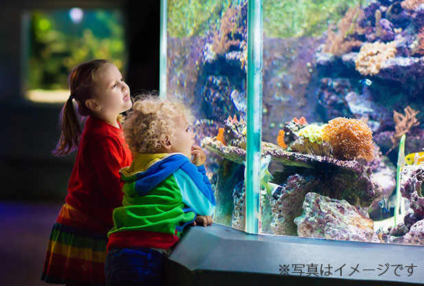 水族館