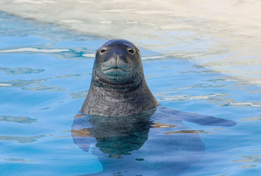 ホノルル水族館