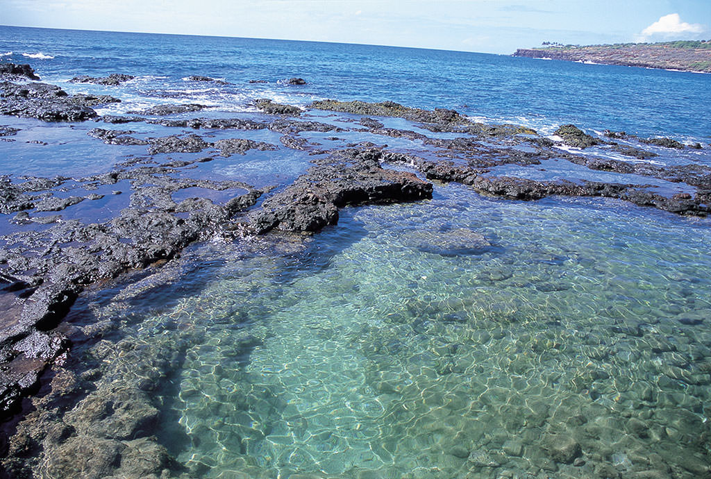 ラナイ島