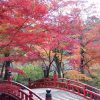 熱海温泉（静岡県）の団体・グループ旅行プランは「団体旅行ナビ」にお任せ！