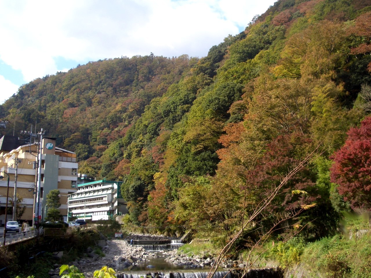 湯坂山の四季の移ろいを感じて