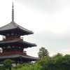 団体・グループ旅行で行きたい世界遺産！法隆寺地域の仏教建造物（奈良県）