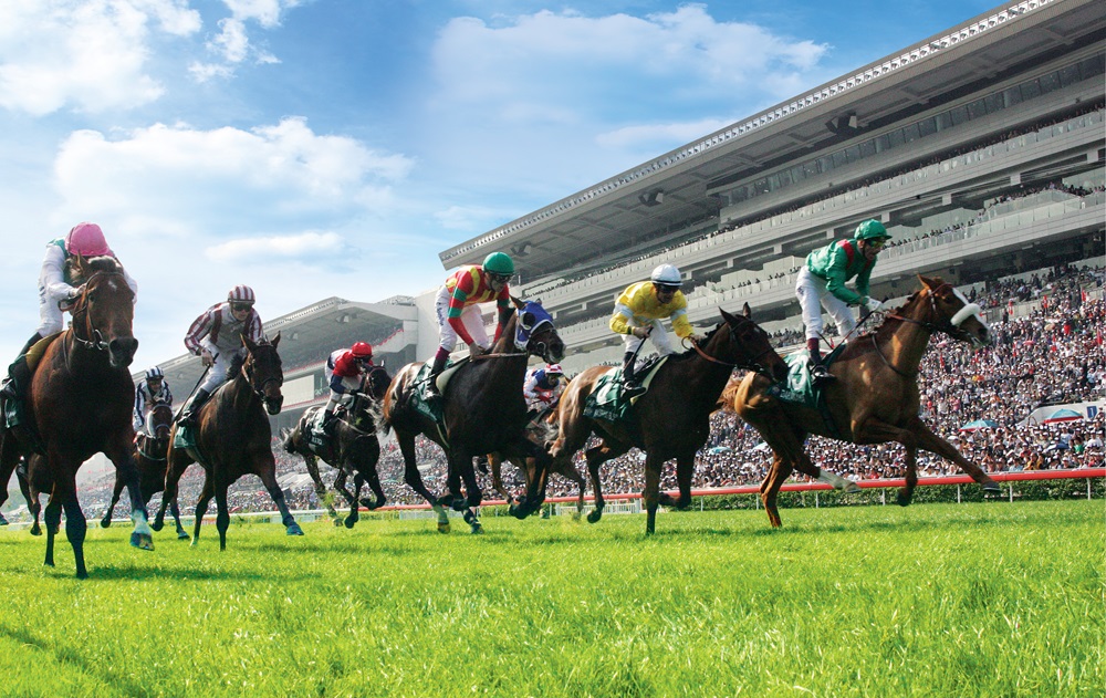 香港で競馬体験