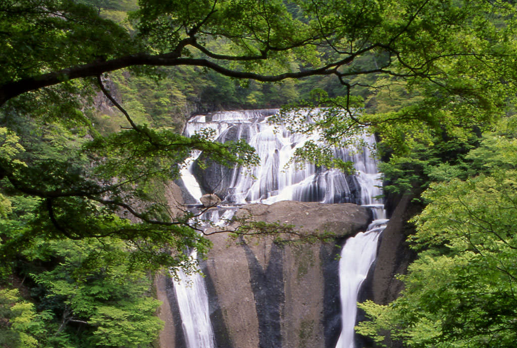 袋田の滝