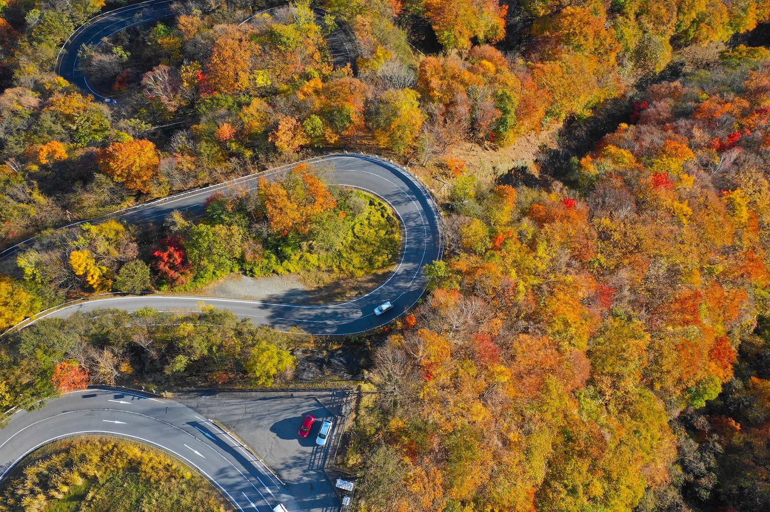 紅葉時期のいろは坂