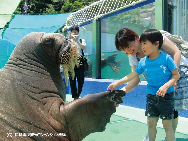 伊勢シーパラダイス