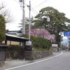 岩室温泉（新潟県）の団体・グループ旅行プランは「団体旅行ナビ」にお任せ！
