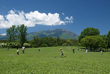 小岩井農場