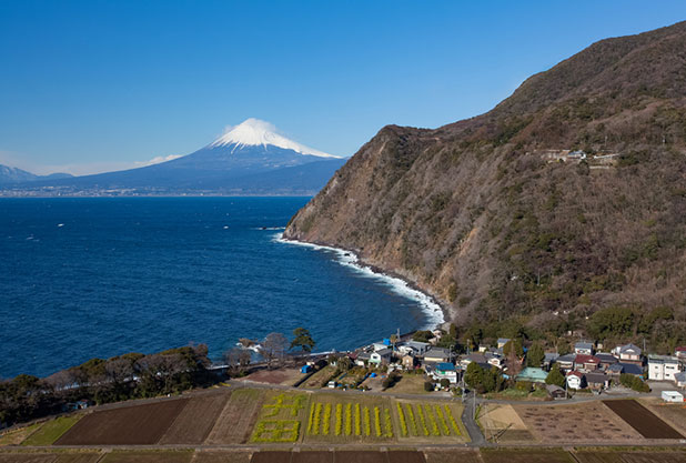 伊豆の団体旅行プラン相談 無料一括見積り 団体旅行ナビ