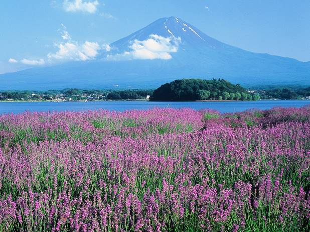 河口湖温泉