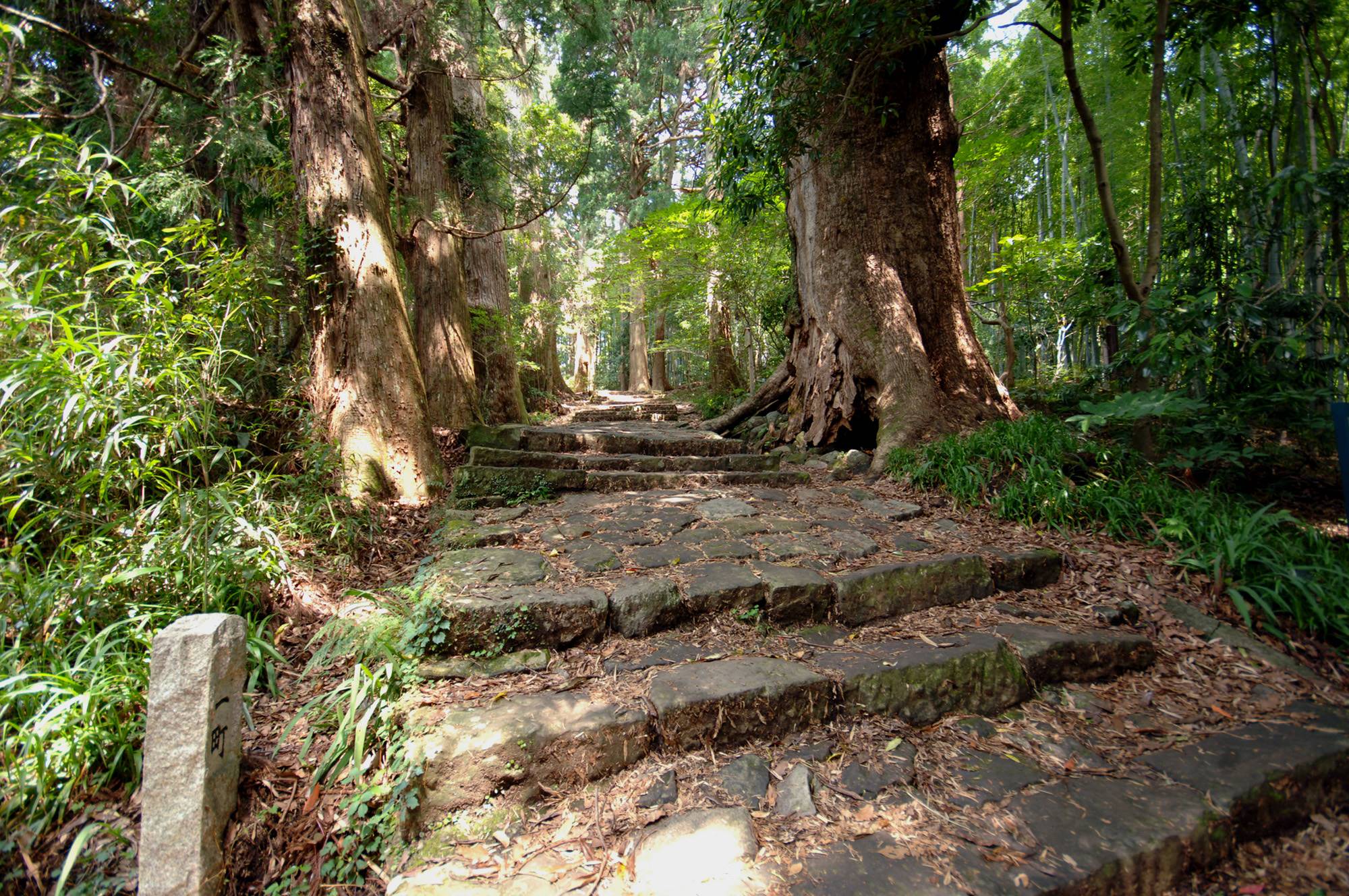 紀伊山地