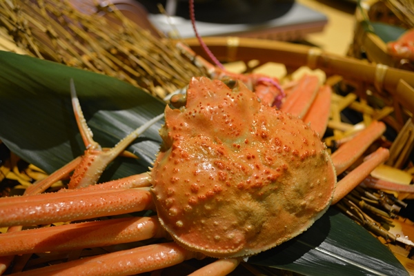 城崎温泉でカニ三昧