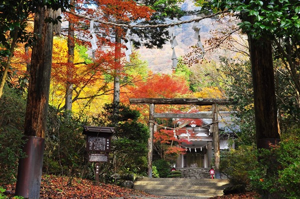 箱根仙石原・金時神社