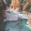 鬼怒川温泉（栃木県）の団体・グループ旅行プランは「団体旅行ナビ」にお任せ！
