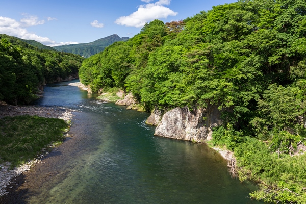 鬼怒川の新緑の渓谷