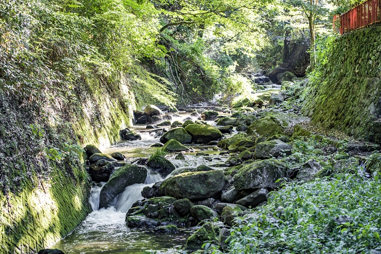 万葉公園