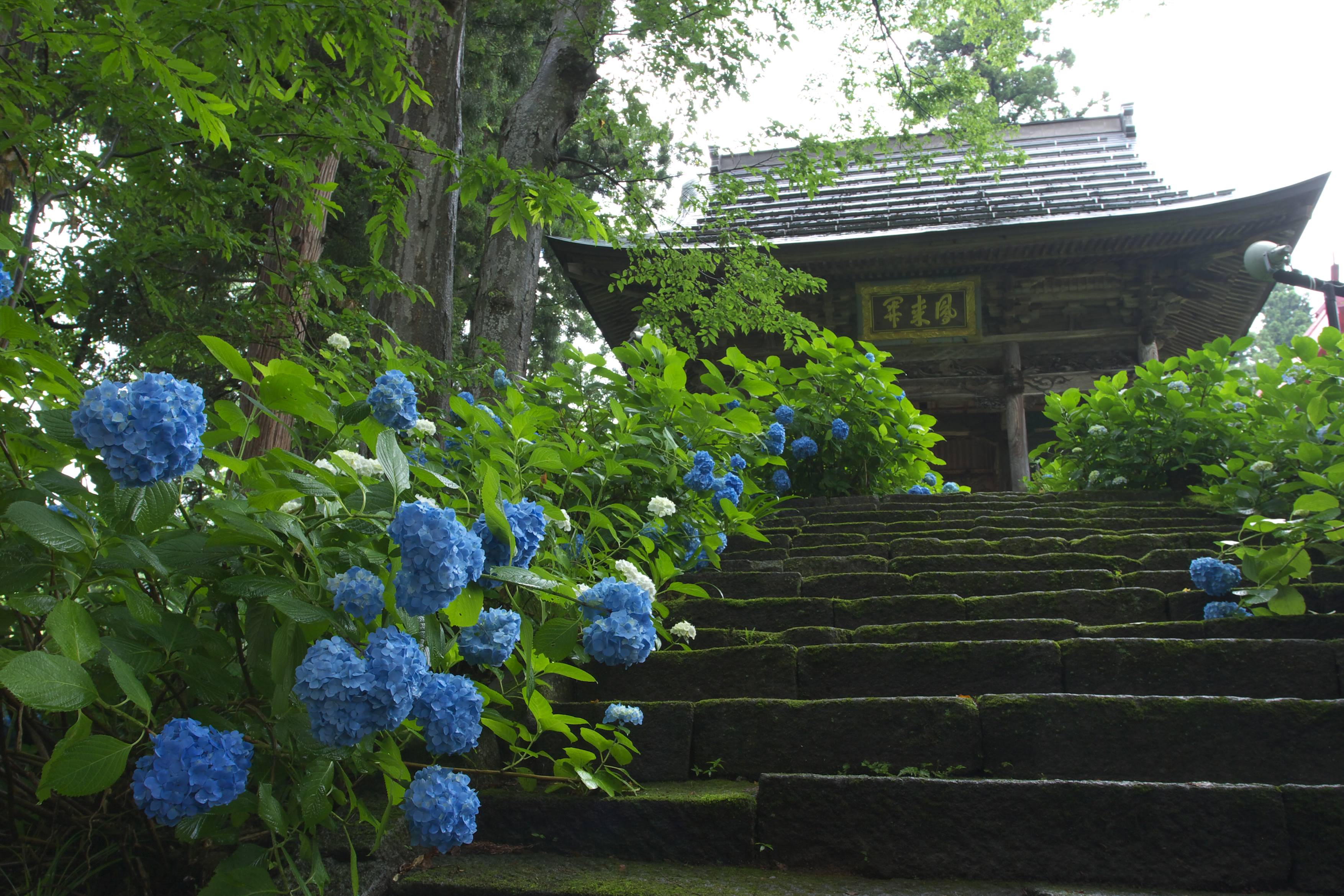 飯山仏壇