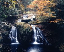 長島温泉