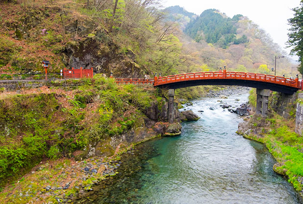 日光