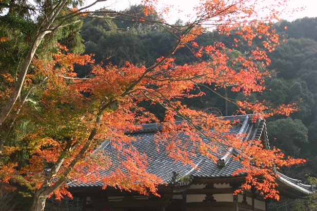 雄琴温泉