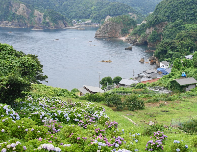 奥伊根温泉