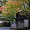 奥湯河原温泉（神奈川県）の団体・グループ旅行プランは「団体旅行ナビ」にお任せ！