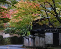 奥湯河原の紅葉