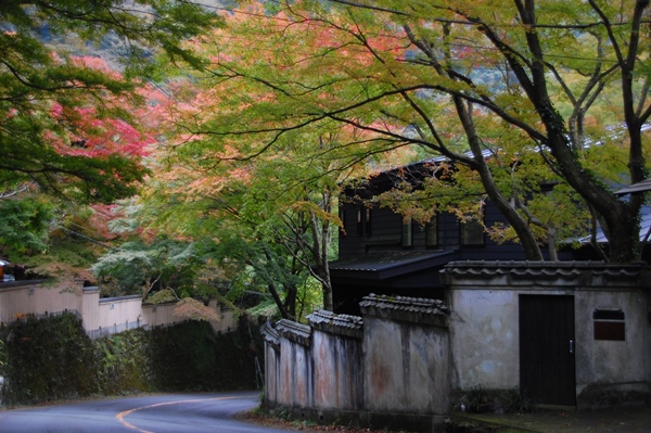 奥湯河原の紅葉