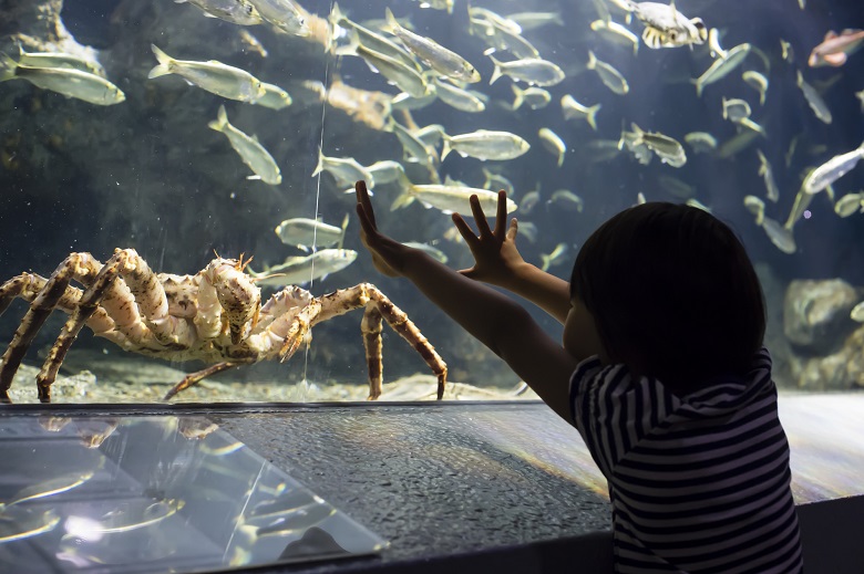 おたる水族館