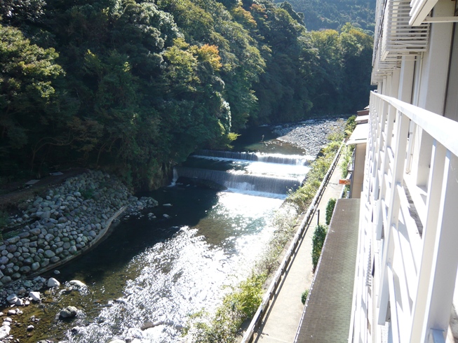 窓から早川のせせらぎ