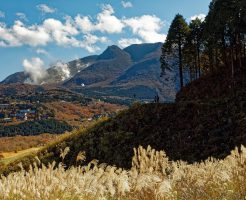 仙石原高原