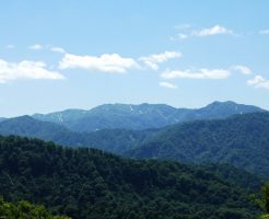 白神山地