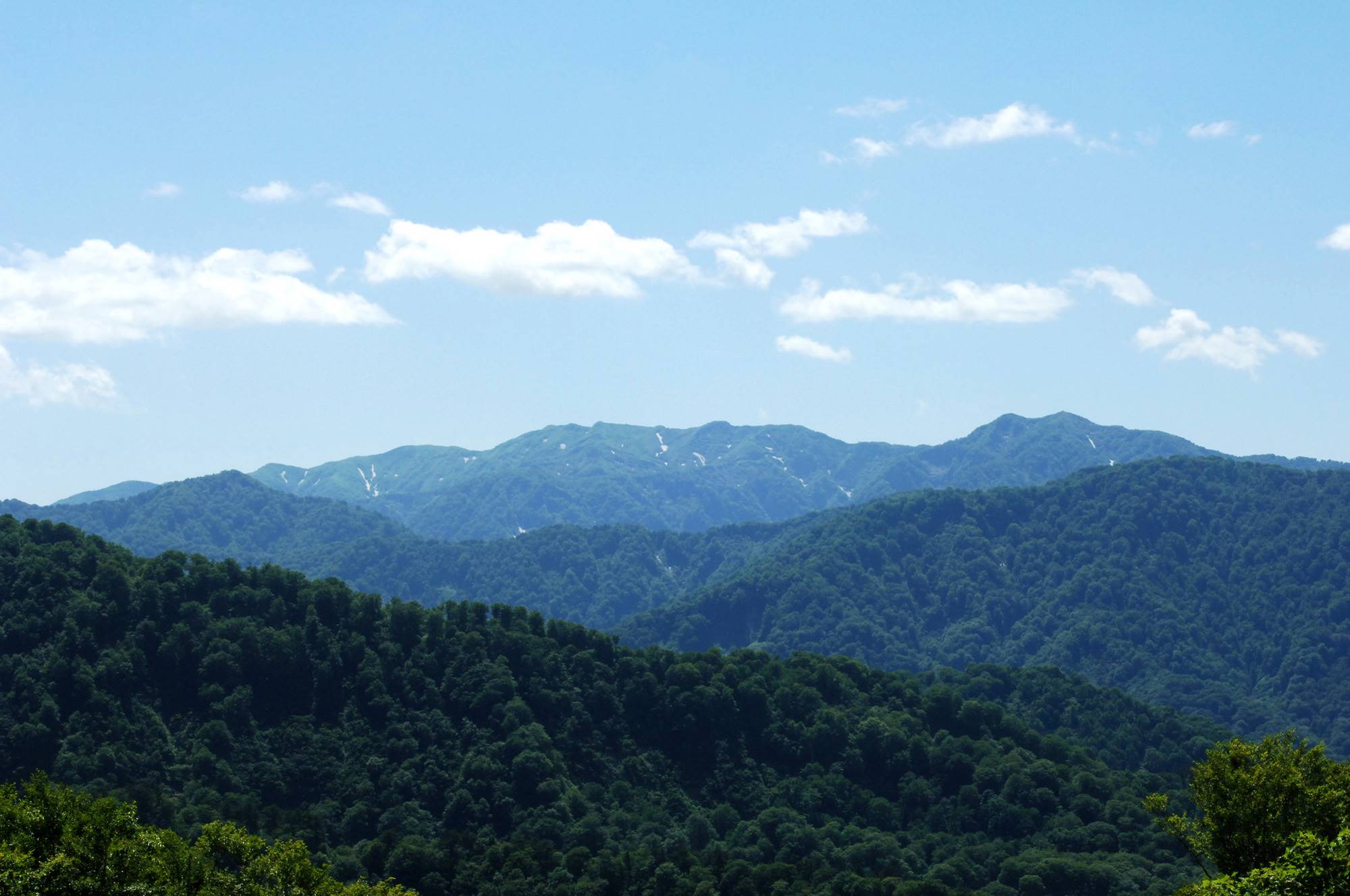 白神山地