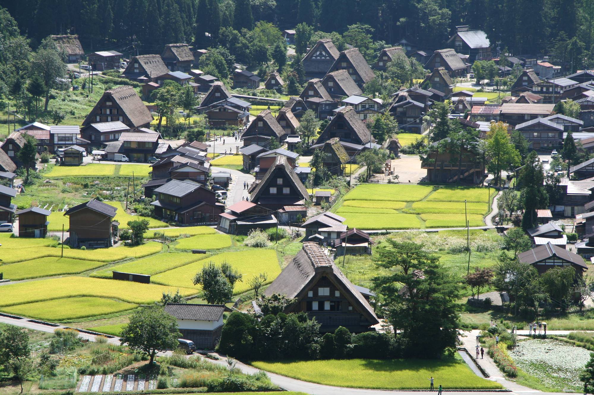 白川郷・五箇山の合掌造り集落