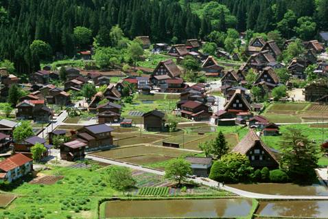 照蓮寺