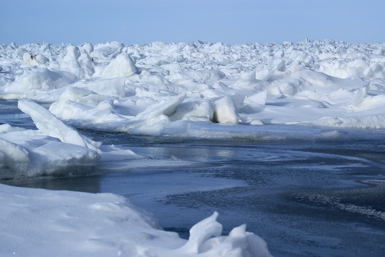 知床の流氷