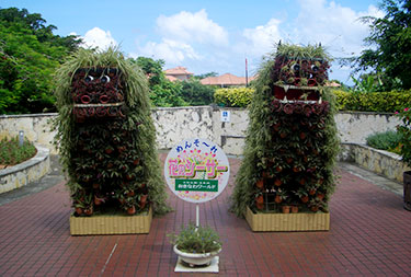 玉泉洞・ハブ植物公園(おきなわワールド)