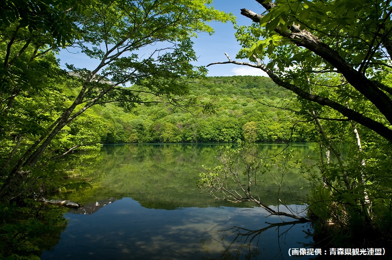 蔦沼