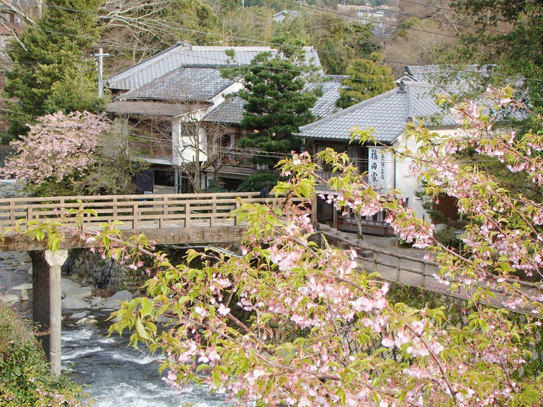 湯ケ野温泉