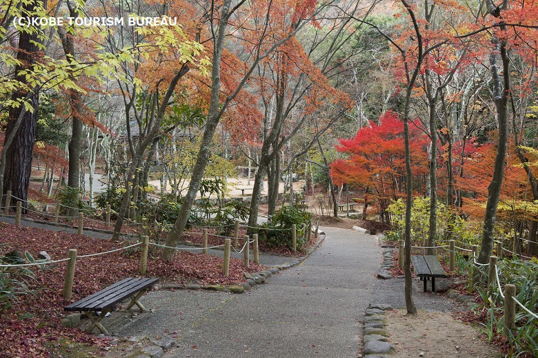 瑞宝寺公園