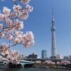 東京団体・グループ旅行で人気の東京スカイツリー（R)【2020年】見どころは？