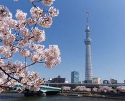 東京