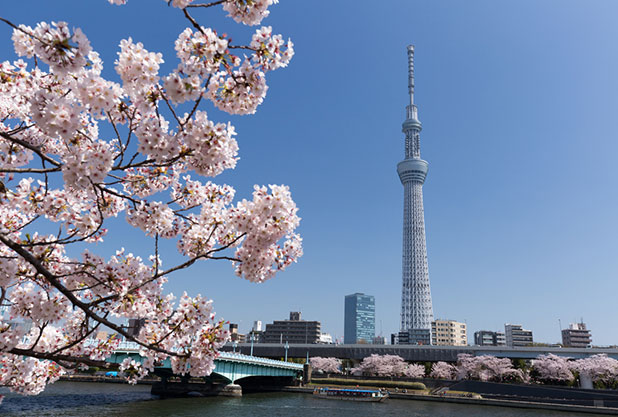 東京