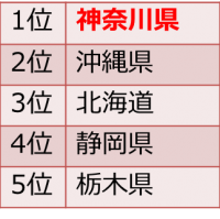 2014年度人気の行き先ランキング