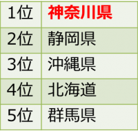 2015年度人気の行き先ランキング