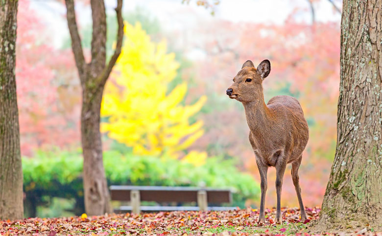 奈良県