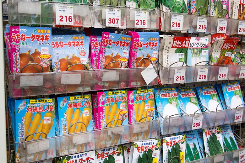 沖縄野菜の種