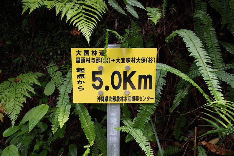 起点から5km地点